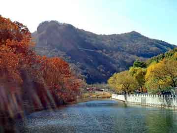 澳门精准正版免费大全14年新，芳芳张张